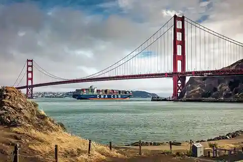 San Francisco: Tour della città con Muir Woods e Sausalito