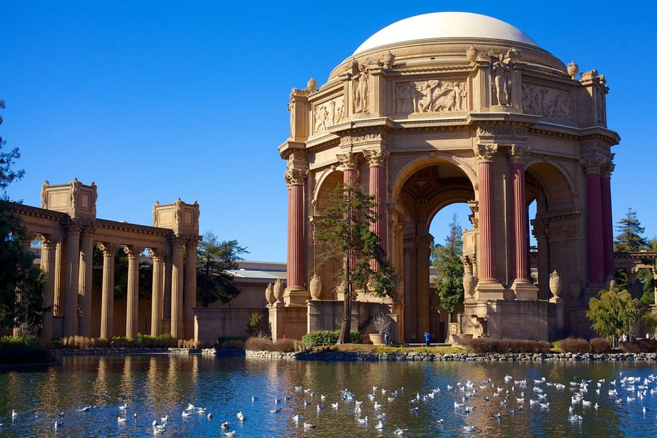 San Francisco: City Tour with Muir Woods and Sausalito image 2