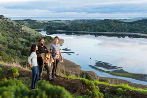 Melbourne: Great Ocean Road and Otway Overnight Tour