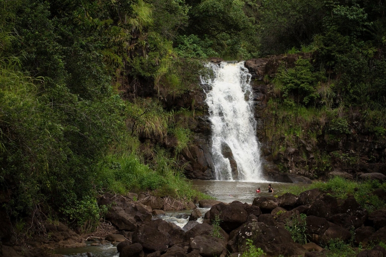 Private North Shore Oahu: zwemmen in een tropische watervalStandaard Optie: