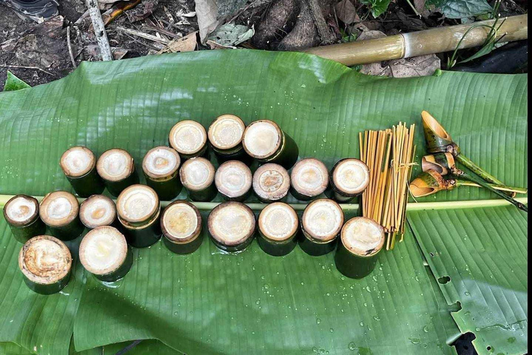 Chiang Rai: Trekking, Bamboo Cooking, and Hot Springs Tour