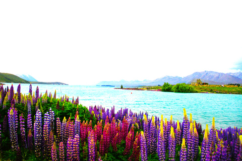 Christchurch: 2 dias-1 noite Mt Cook &amp; Lake Tekapo Stargazing