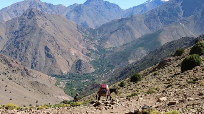 marrakesh 3day valley trek comfort tour