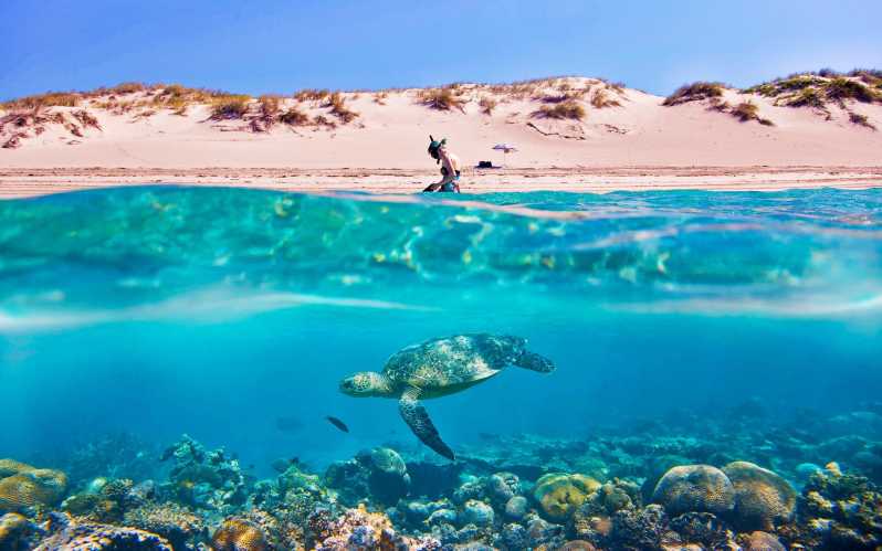 Hurghada: Giftun Islands & Snorkeling Boat Tour with Lunch