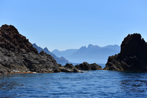 Oporto: Excursión en barco por Scandola y Calanches de Piana