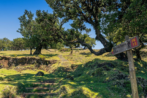 Madeira: Full-Day Porto Moniz Jeep Tour