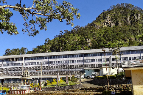Lipton&#039;s Seat, Adisham Bungalow, excursão à fábrica de chá DambetennaDe Ella: Duas noites e três dias - Tour totalmente particular