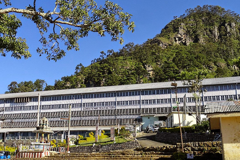 Lipton&#039;s Seat, Adisham Bungalow, excursão à fábrica de chá DambetennaDe Ella: Duas noites e três dias - Tour totalmente particular
