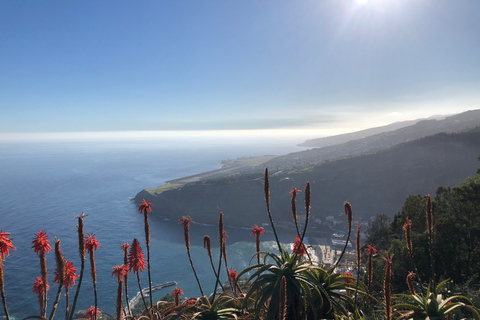 Eiland Madeira: rondleiding van een hele dag door Oost-MadeiraJeeptour hele dag - Santana - Het beste oosten