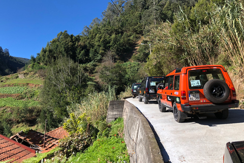 Eiland Madeira: rondleiding van een hele dag door Oost-MadeiraJeeptour hele dag - Santana - Het beste oosten