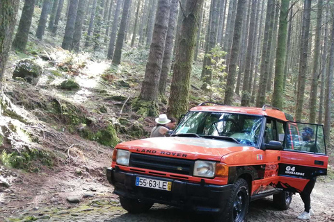 Eiland Madeira: rondleiding van een hele dag door Oost-MadeiraJeeptour hele dag - Santana - Het beste oosten