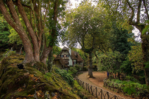 Eiland Madeira: rondleiding van een hele dag door Oost-MadeiraJeeptour hele dag - Santana - Het beste oosten