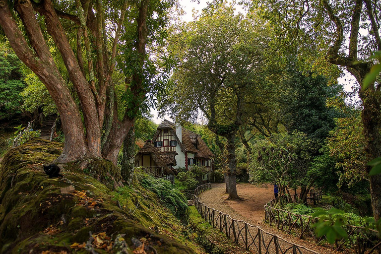 Madeira Island: Full-day Guided Tour of Eastern Madeira Jeep Tour Full Day - Santana - The Best East