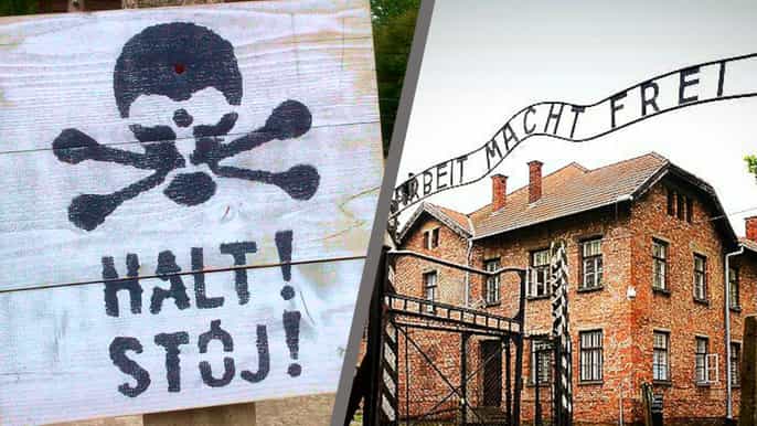 krakow auschwitz selfguided tour with private transfer