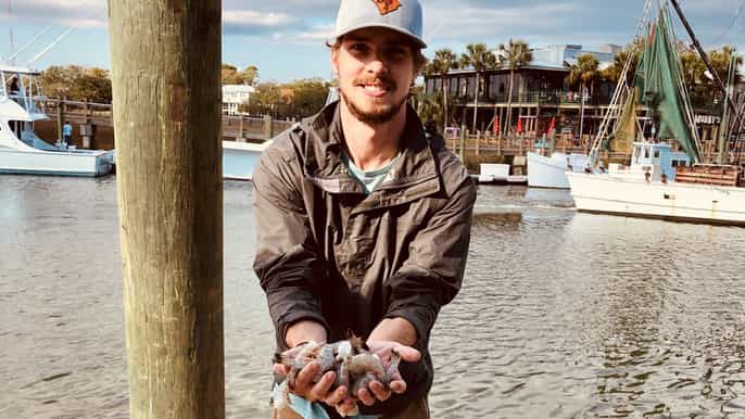 charleston shem creek culture tour