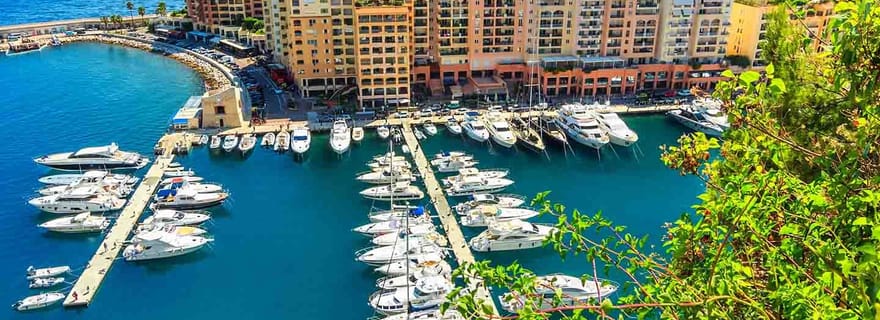 Nice : visite privée de 5 heures en Provence