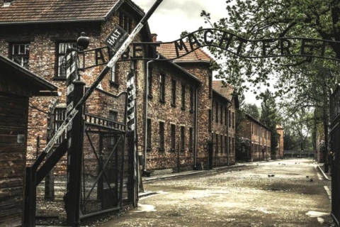 Cracovia: Visita en grupo a Auschwitz y las Minas de Sal