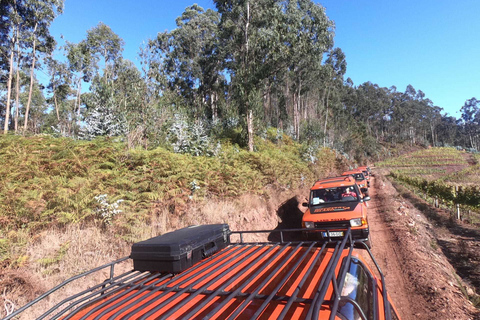 Eiland Madeira: Jeeptour Halve dag Câmara Lobos - SeaCliffJeeptour van een halve dag - Câmara de Lobos