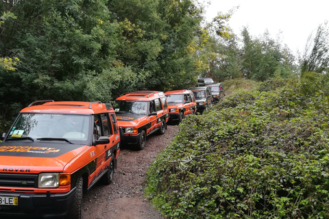 Funchal: tour di mezza giornata in jeep di Câmara Lobos e della scogliera di GirãoFunchal: tour in jeep di mezza giornata di Câmara Lobos e Girão Sea Cliff