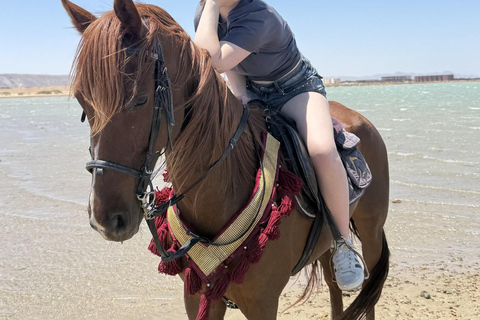 Hurghada: Horse Riding in the Desert & Beach Experience 1 HR Desert Horse Riding Experience without transfer