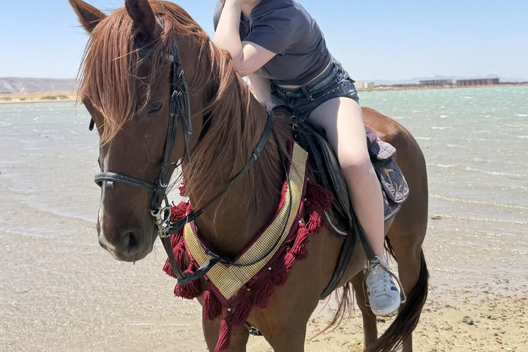 Hurghada: Horse Riding in the Desert & Beach Experience 1 HR Desert Horse Riding Experience without transfer