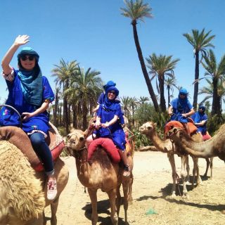 Marrakech: Passeio de Camelo no Palmeiral