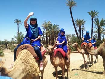 Marrakesch: Kamelritt im Palmenhain Marrakesch: Kamelritt im Palmenhain