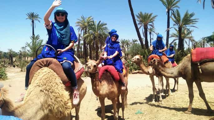 marrakech balade en chameau à la palmeraie