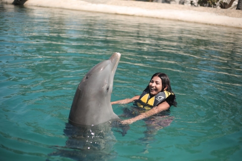 Ocean World in Puerto Plata: Schwimmen mit Delfinen