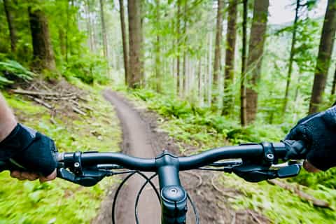 Quebec City: Jacques-Cartier National Park Mountain Biking