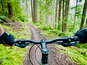 Quebec City: Jacques-Cartier-Nationalpark Mountainbiken Quebec City: Jacques-Cartier-Nationalpark Mountainbiken