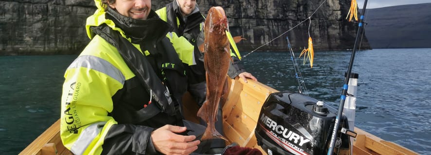 Árnafjørður: Guided Boat Tour with Fishing