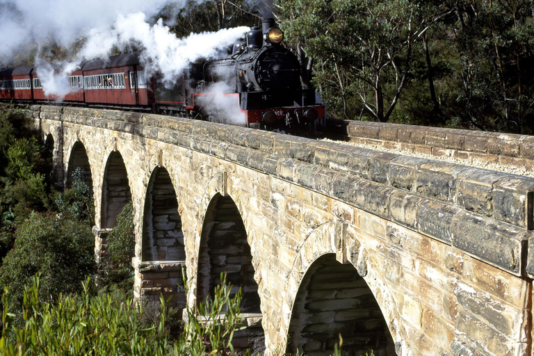 Private Tour to Dandenong Ranges & Puffing Billy Steam Train