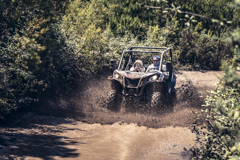 Tenerife: Excursión guiada en Buggy por el Teide