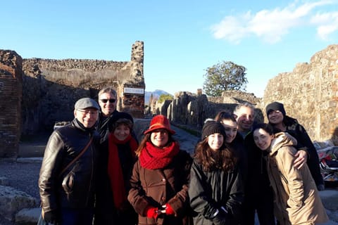 Mt. Vesuvius , Pompeii , Bosco dei Madici Winery