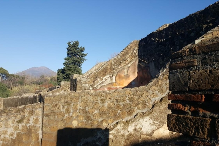 Neapel: Ganztägiger Vesuv, Cantine del Vesuvio und Pompeji