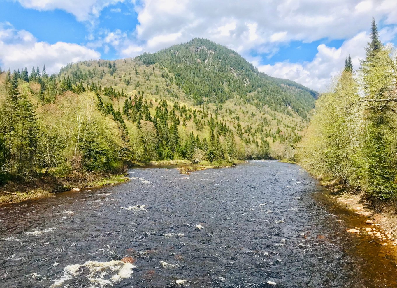 Quebec City: Guidet vandretur i Jacques-Cartier National Park