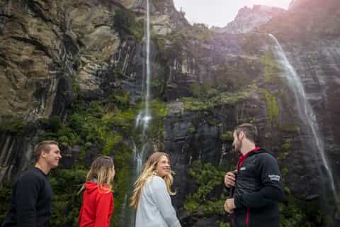 Milford Sound: Nature Cruise with Picnic Lunch