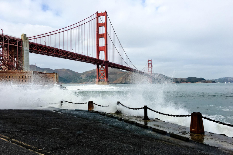 San Francisco: Tour della città con Muir Woods e Sausalito
