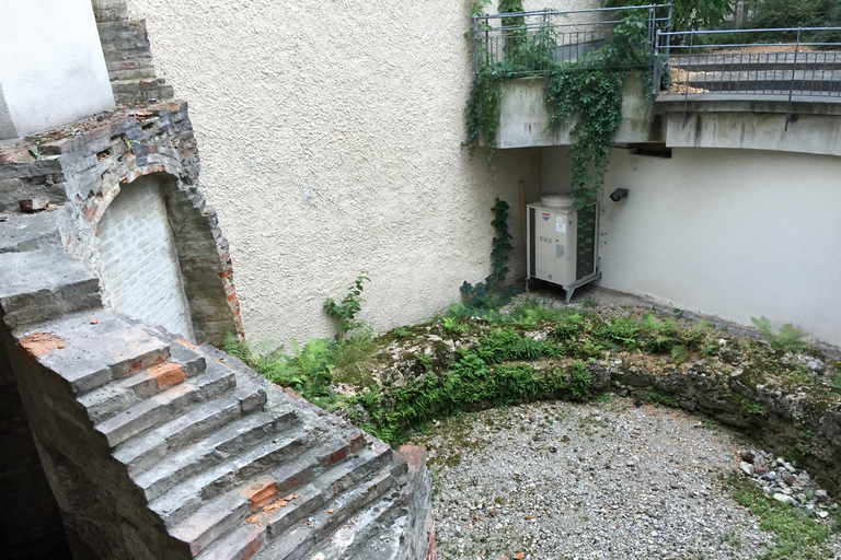 München: Stadsvandring med höjdpunkter och ölträdgårdMünchen: Stadens höjdpunkter och ölträdgårdsvandring