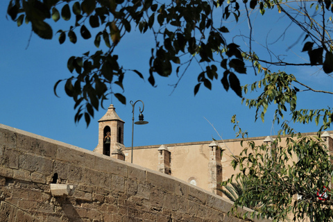 Valencia: Walking Tour of City Highlights with tastings