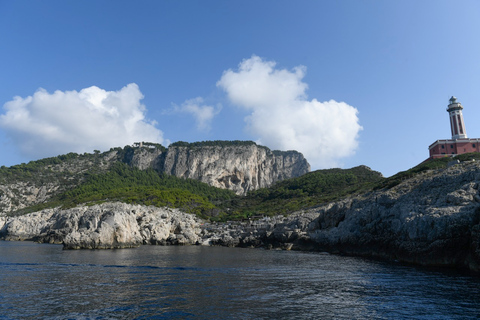 Från Sorrento: Dagsutflykt till Capri med Blue GrottoFrån Sorrento: Dagsutflykt till ön Capri