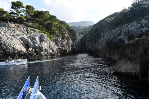 Från Sorrento: Dagsutflykt till Capri med Blue GrottoFrån Sorrento: Dagsutflykt till ön Capri