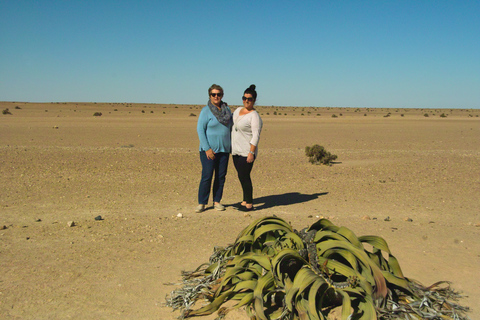 Landausflug Walvis Bay: Flamingos, Düne 7, Swakopmund