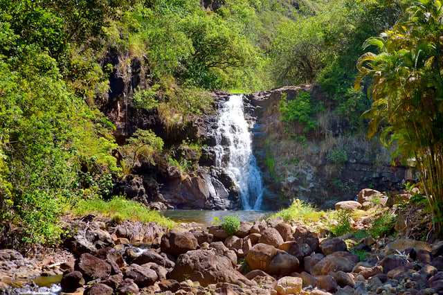 Oahu: Komplette Inselrundfahrt mit Schwimmen im tropischen Wasserfall