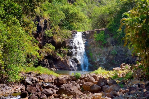 Oahu: The North Shore Photo Tour buiten de gebaande paden