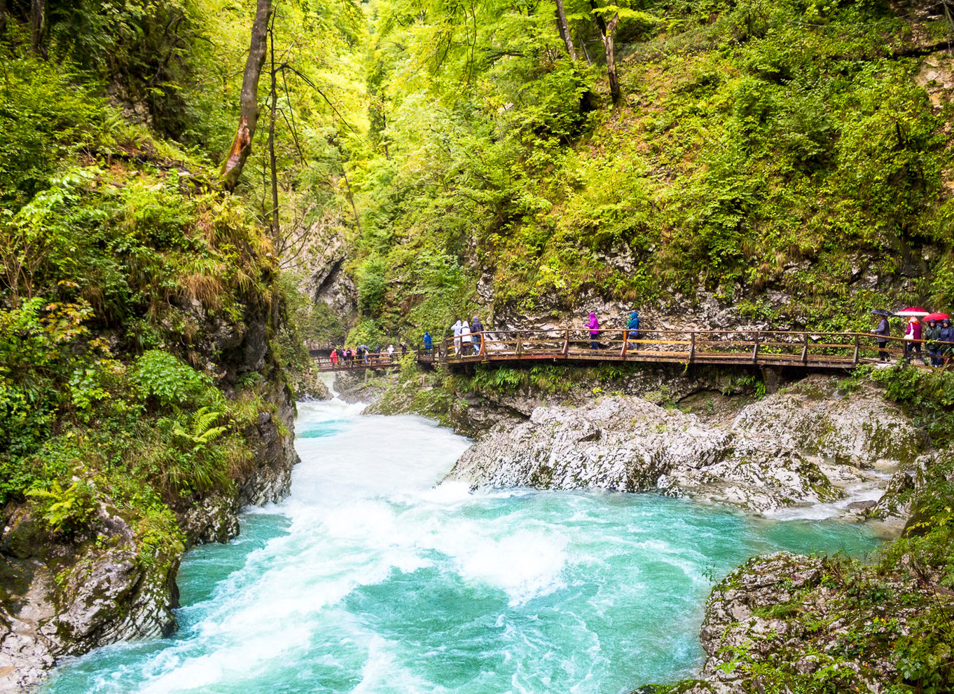 Fra Ljubljana: Dagsudflugt til Bled og Vintgar-slugten