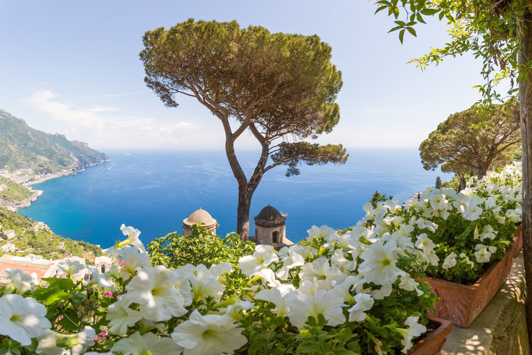 De Rome: excursion d'une journée à Pompéi, Positano et Amalfi