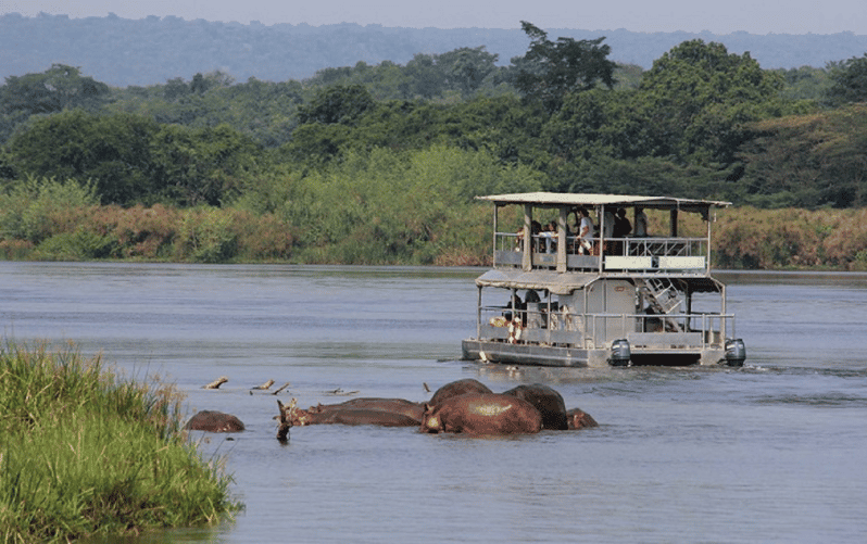 Murchison Falls National Park 3 Day Safari With Boat Cruise GetYourGuide