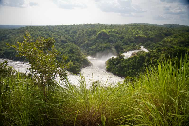 Murchison Falls National Park T Gige Safari Mit Bootsfahrt